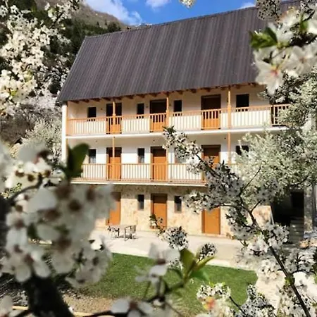 Bujtina Zici * Shkodër