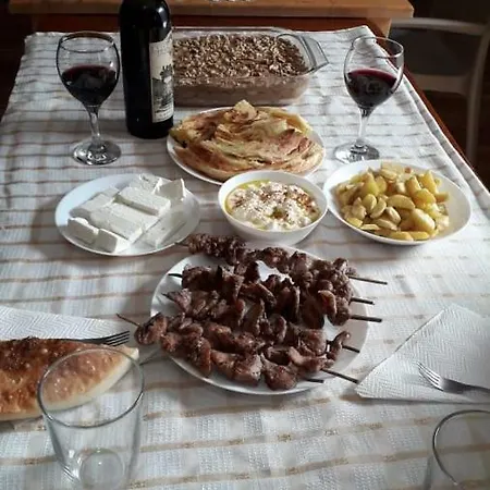 Pensionat Bujtina Zici
